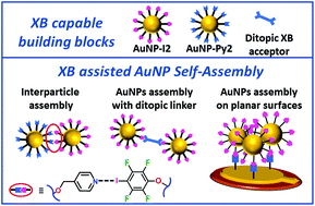 Graphical abstract: Halogen bond-assisted self-assembly of gold nanoparticles in solution and on a planar surface
