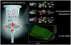 Graphical abstract: Nanocellulose/graphene oxide layered membranes: elucidating their behaviour during filtration of water and metal ions in real time