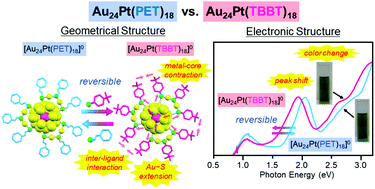Graphical abstract: Elucidating ligand effects in thiolate-protected metal clusters using Au24Pt(TBBT)18 as a model cluster