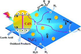 Graphical abstract: Plasma-modified Ti3C2Tx/CdS hybrids with oxygen-containing groups for high-efficiency photocatalytic hydrogen production