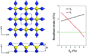 Graphical abstract: Semiconducting SN2 monolayer with three-dimensional auxetic properties: a global minimum with tetracoordinated sulfurs