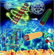 Graphical abstract: Phytic acid-guided ultra-thin N,P co-doped carbon coated carbon nanotubes for efficient all-pH electrocatalytic hydrogen evolution