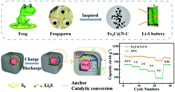 Graphical abstract: Frogspawn inspired hollow Fe3C@N–C as an efficient sulfur host for high-rate lithium–sulfur batteries