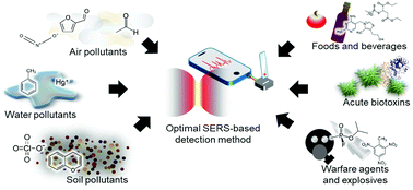 Graphical abstract: Surface-enhanced Raman scattering-based detection of hazardous chemicals in various phases and matrices with plasmonic nanostructures