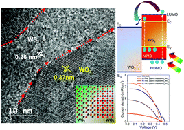 Graphical abstract: Plasma driven nano-morphological changes and photovoltaic performance in dye sensitized 2D-layered dual oxy-sulfide phase WS2 films