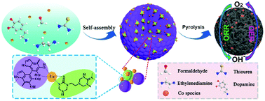Graphical abstract: N,S–Codoped hierarchical porous carbon spheres embedded with cobalt nanoparticles as efficient bifunctional oxygen electrocatalysts for rechargeable zinc-air batteries