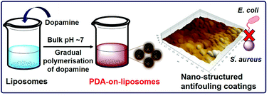 Graphical abstract: Polydopamine-on-liposomes: stable nanoformulations, uniform coatings and superior antifouling performance