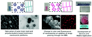 Graphical abstract: Development of color changing polydiacetylene-based biomimetic nanovesicle platforms for quick detection of membrane permeability across the blood brain barrier