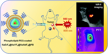 Graphical abstract: Prussian blue-coated lanthanide-doped core/shell/shell nanocrystals for NIR-II image-guided photothermal therapy