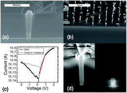 Graphical abstract: Template-assisted vapour–liquid–solid growth of InP nanowires on (001) InP and Si substrates