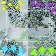 Graphical abstract: Insights into the role of the lead/surfactant ratio in the formation and passivation of cesium lead bromide perovskite nanocrystals