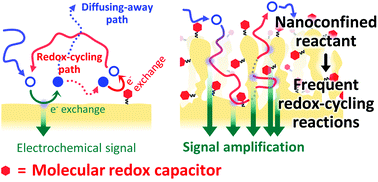 Graphical abstract: Tethered molecular redox capacitors for nanoconfinement-assisted electrochemical signal amplification