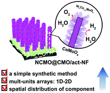 Graphical abstract: Synergistic engineering of architecture and composition in NixCo1−xMoO4@CoMoO4 nanobrush arrays towards efficient overall water splitting electrocatalysis