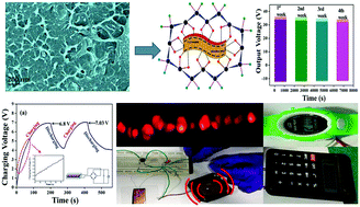 Graphical abstract: Morphological interference of two different cobalt oxides derived from a hydrothermal protocol and a single two-dimensional metal organic framework precursor to stabilize the β-phase of PVDF for flexible piezoelectric nanogenerators
