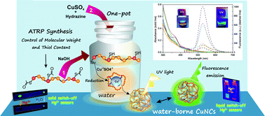 Graphical abstract: The synthesis of switch-off fluorescent water-stable copper nanocluster Hg2+ sensors via a simple one-pot approach by an in situ metal reduction strategy in the presence of a thiolated polymer ligand template