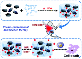 Graphical abstract: Palladium nanosheet-knotted injectable hydrogels formed via palladium–sulfur bonding for synergistic chemo-photothermal therapy