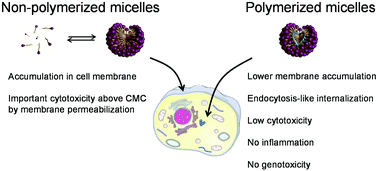Graphical abstract: Nanotoxicology at the particle/micelle frontier: influence of core-polymerization on the intracellular distribution, cytotoxicity and genotoxicity of polydiacetylene micelles