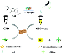 Graphical abstract: Ratiometric sensing of alkaline phosphatase based on the catalytical activity from Mn–Fe layered double hydroxide nanosheets