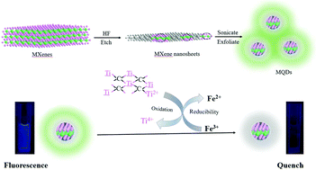 Graphical abstract: Selective detection of Fe3+ ions based on fluorescence MXene quantum dots via a mechanism integrating electron transfer and inner filter effect