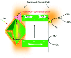 Graphical abstract: An LSPR-based “push–pull” synergetic effect for the enhanced photocatalytic performance of a gold nanorod@cuprous oxide-gold nanoparticle ternary composite