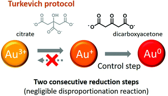 Graphical abstract: Mechanistic insights of the reduction of gold salts in the Turkevich protocol