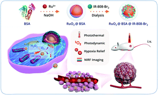 Graphical abstract: Biomineralization-inspired nanozyme for single-wavelength laser activated photothermal-photodynamic synergistic treatment against hypoxic tumors