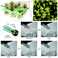 Graphical abstract: An artificial sea urchin with hollow spines: improved mechanical and electrochemical stability in high-capacity Li–Ge batteries