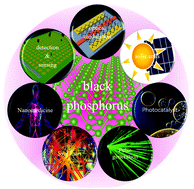 Graphical abstract: An overview of the optical properties and applications of black phosphorus