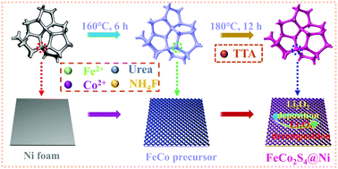 Graphical abstract: Configuration of gradient-porous ultrathin FeCo2S4 nanosheets vertically aligned on Ni foam as a noncarbonaceous freestanding oxygen electrode for lithium–oxygen batteries
