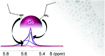 Graphical abstract: Surface coordination chemistry of germanium nanocrystals synthesized by microwave-assisted reduction in oleylamine