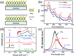 Graphical abstract: Influence of a substrate on ultrafast interfacial charge transfer and dynamical interlayer excitons in monolayer WSe2/graphene heterostructures