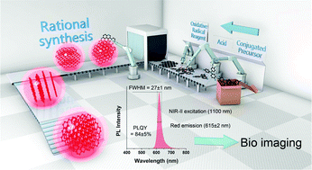 Graphical abstract: Rational synthesis of highly efficient ultra-narrow red-emitting carbon quantum dots for NIR-II two-photon bioimaging