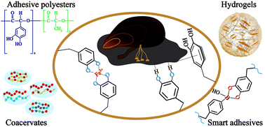 Graphical abstract: Recent progress in synthesis and application of mussel-inspired adhesives