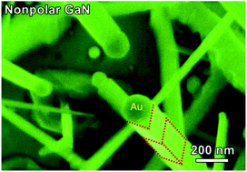 Graphical abstract: Investigation of catalyst-assisted growth of nonpolar GaN nanowires via a modified HVPE process