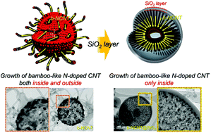 Graphical abstract: Structural combination of polar hollow microspheres and hierarchical N-doped carbon nanotubes for high-performance Li–S batteries
