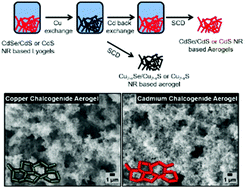 Graphical abstract: Reversible cation exchange on macroscopic CdSe/CdS and CdS nanorod based gel networks