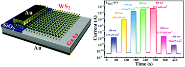 Graphical abstract: An ultrasensitive self-driven broadband photodetector based on a 2D-WS2/GaAs type-II Zener heterojunction