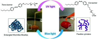 Graphical abstract: A single-component photorheological fluid with light-responsive viscosity