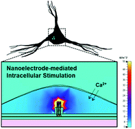 Graphical abstract: Nanoelectrode-mediated single neuron activation