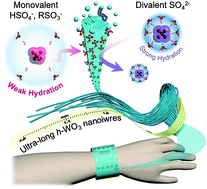 Graphical abstract: Monovalent sulfur oxoanions enable millimeter-long single-crystalline h-WO3 nanowire synthesis