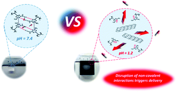 Graphical abstract: Stimuli-responsive graphene-based hydrogel driven by disruption of triazine hydrophobic interactions