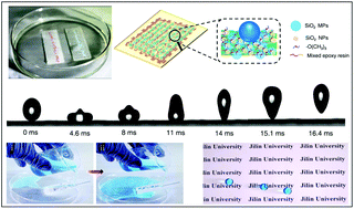 Graphical abstract: Underwater writable and heat-insulated paper with robust fluorine-free superhydrophobic coatings