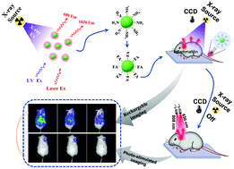 Graphical abstract: X-ray recharged long afterglow luminescent nanoparticles MgGeO3:Mn2+,Yb3+,Li+ in the first and second biological windows for long-term bioimaging
