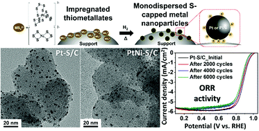 Graphical abstract: Thiometallate precursors for the synthesis of supported Pt and PtNi nanoparticle electrocatalysts: Size-focusing by S capping