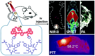 Graphical abstract: A novel αvβ3 integrin-targeted NIR-II nanoprobe for multimodal imaging-guided photothermal therapy of tumors in vivo