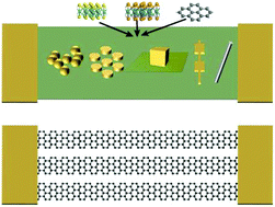 Graphical abstract: Plasmonically enabled two-dimensional material-based optoelectronic devices