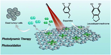 Graphical abstract: A nano-photosensitizer based on covalent organic framework nanosheets with high loading and therapeutic efficacy