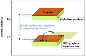 Graphical abstract: Creation of a two-dimensional polymer and graphene heterostructure