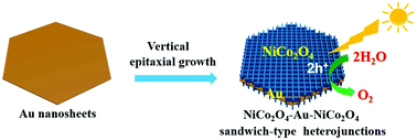 Graphical abstract: Solution-phase vertical growth of aligned NiCo2O4 nanosheet arrays on Au nanosheets with weakened oxygen–hydrogen bonds for photocatalytic oxygen evolution