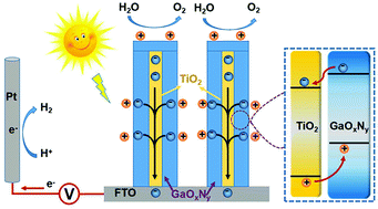Graphical abstract: Modification of 1D TiO2 nanowires with GaOxNy by atomic layer deposition for TiO2@GaOxNy core–shell nanowires with enhanced photoelectrochemical performance
